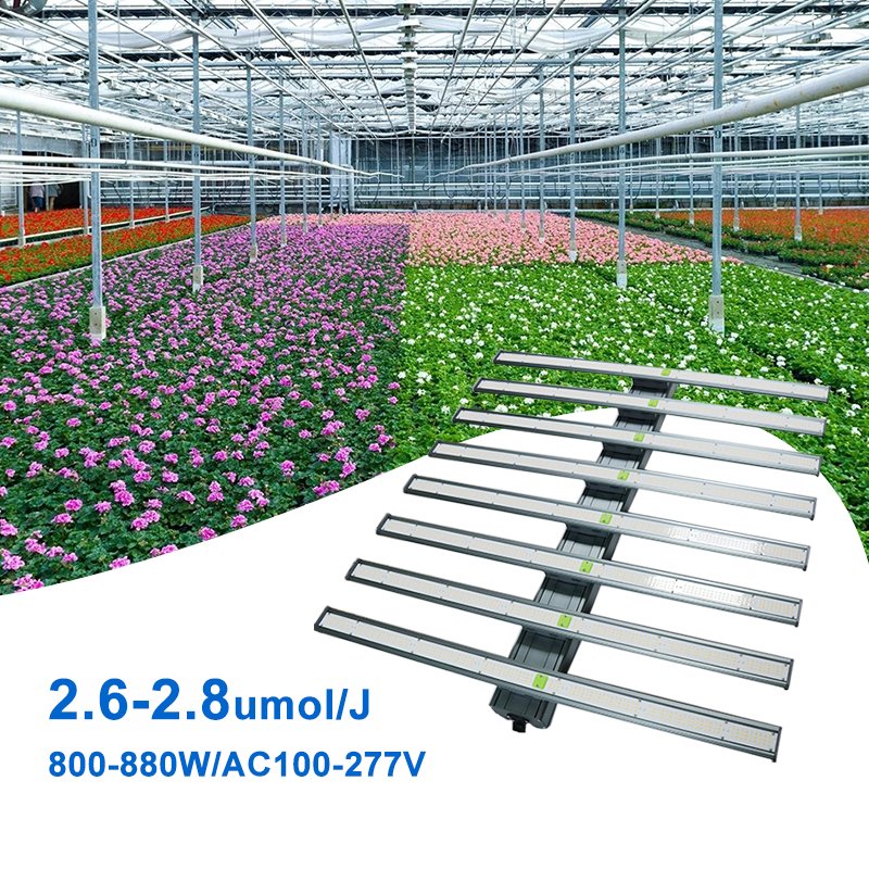1000w led grow light 1100W UV IR Dimmable Indoor Plant - learnew-opto.com